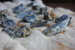 Kyanite Shards