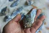 Kyanite Shards